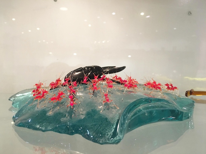 43088984_2219111985032028_5210137252394434560_n.jpg 43088984_2219111985032028_5210137252394434560_n.jpg