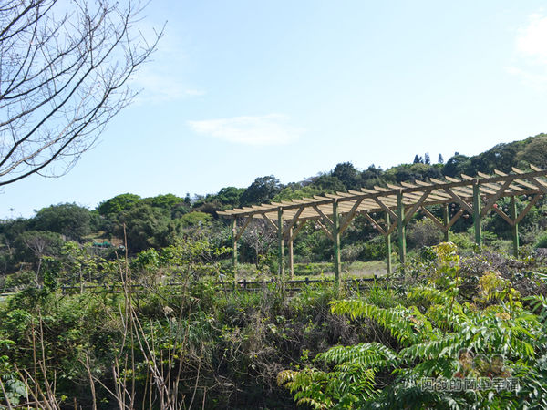 三生步道19-沿路風情