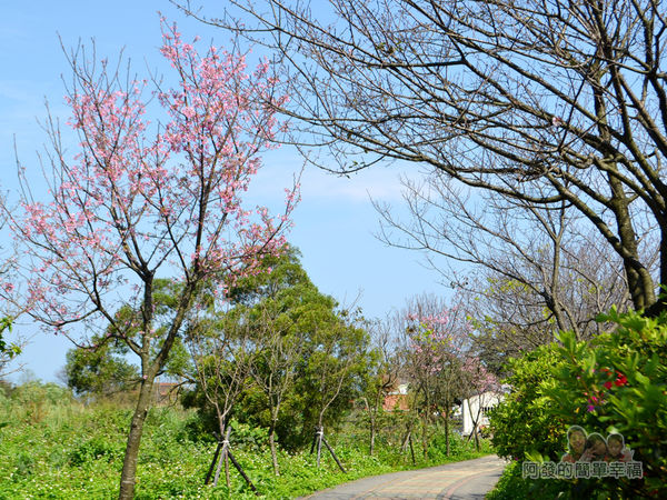 三生步道21-充滿清幽愜意