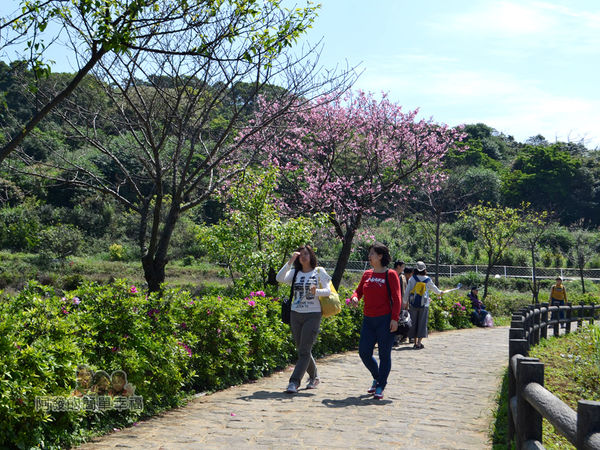 三生步道38-悠閒愜意的步道行