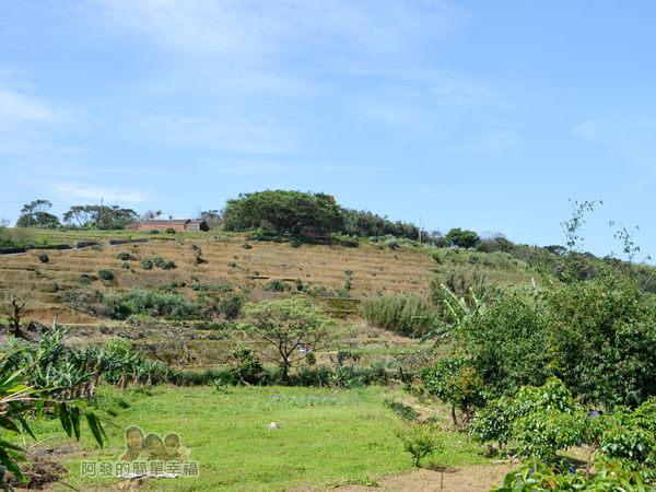 三生步道25-一旁的梯田風情