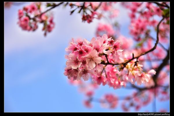 20160405三芝三生步道20