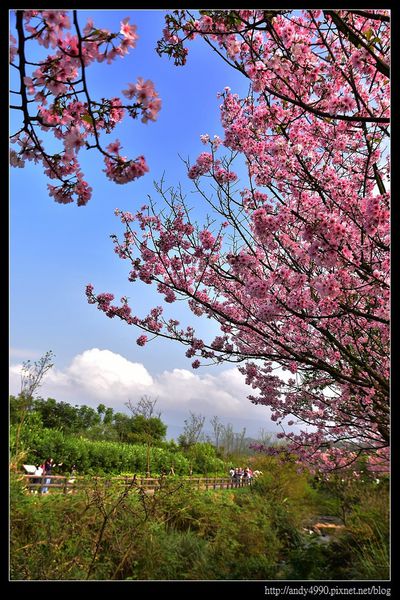 20160405三芝三生步道19