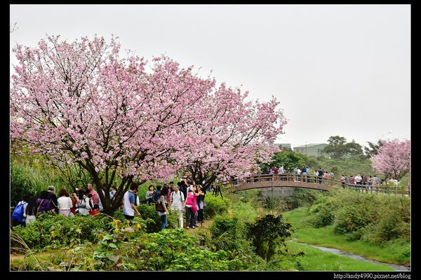 20160405三芝三生步道31