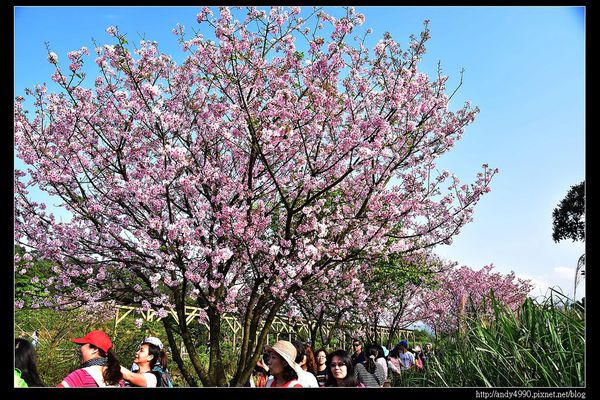 20160405三芝三生步道18