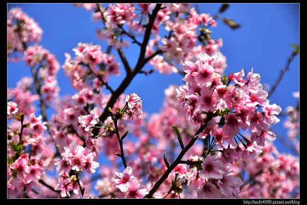 20160405三芝三生步道3