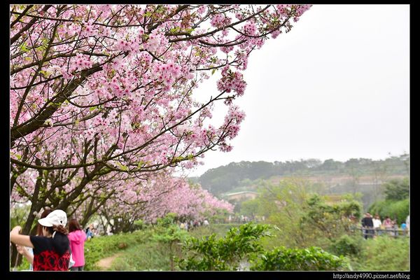20160405三芝三生步道27