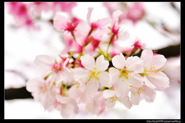 20160405三芝三生步道24