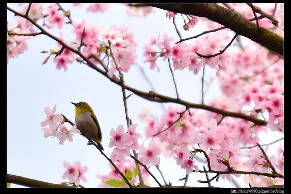 20160405三芝三生步道22