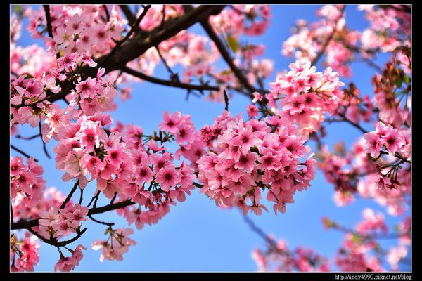 20160405三芝三生步道10