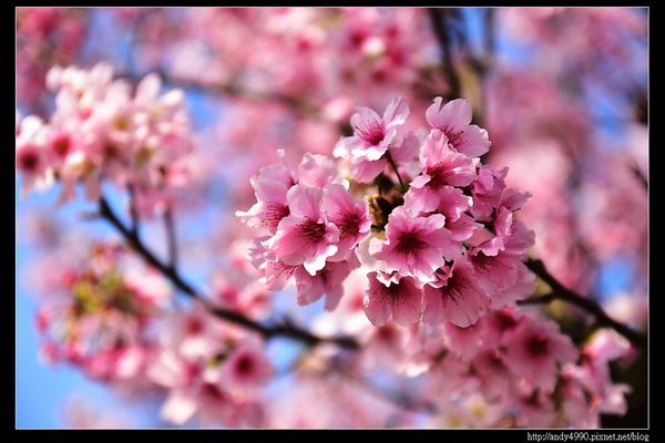20160405三芝三生步道5