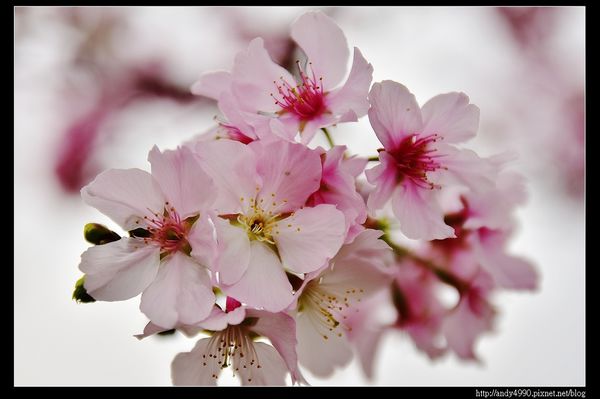 20160405三芝三生步道32
