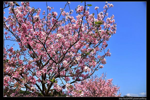 20160405三芝三生步道9