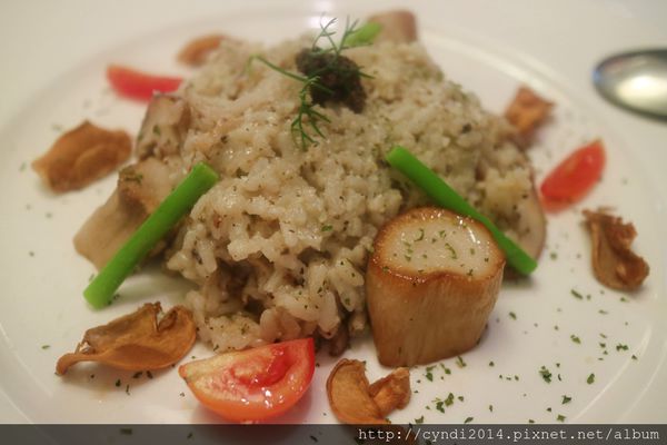 IMG_1796.JPG IMG_1796.JPG