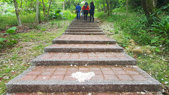 20180415_115808_副本