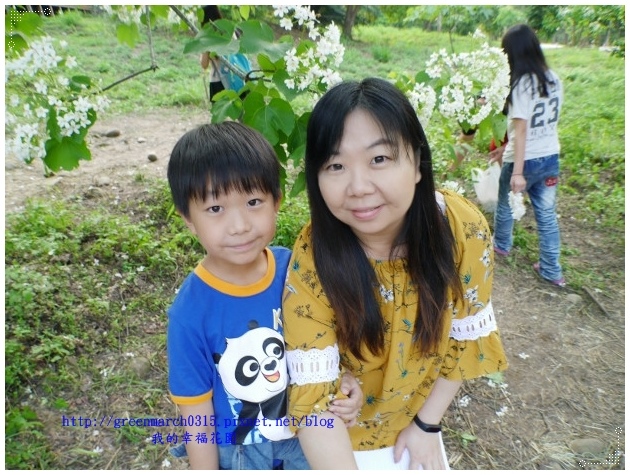 P9050137 (620x465)_副本.jpg