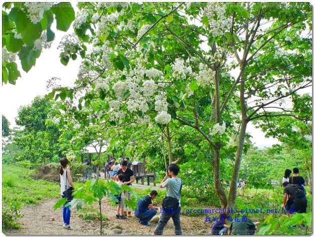 P9050111 (620x465).jpg