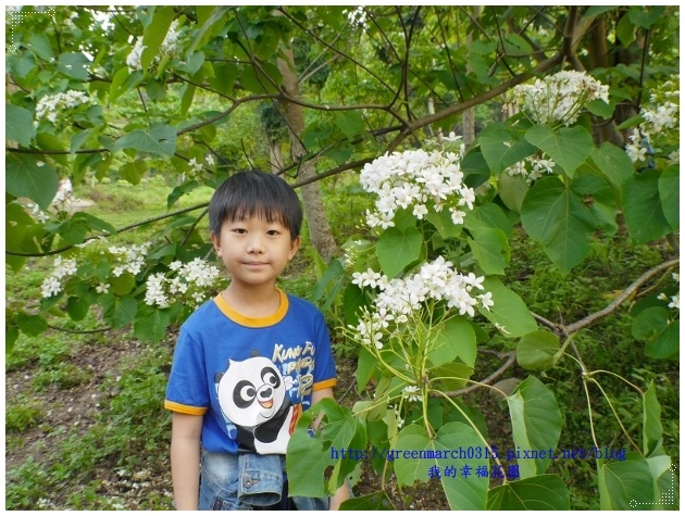 P9050149 (620x465).jpg