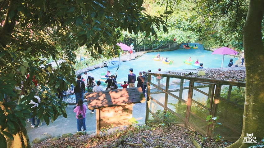 嘉義景點|綠盈牧場，網美拍照、親子生態體驗通通有！