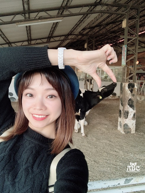 嘉義景點|綠盈牧場，網美拍照、親子生態體驗通通有！