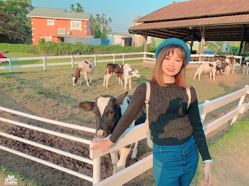 嘉義景點|綠盈牧場，網美拍照、親子生態體驗通通有！