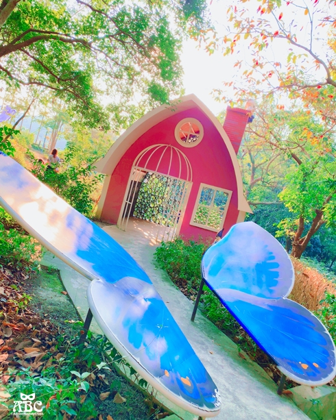 嘉義景點|綠盈牧場，網美拍照、親子生態體驗通通有！