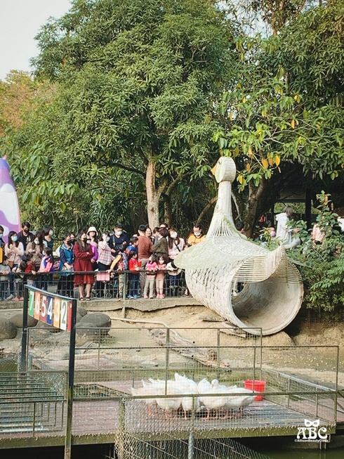 嘉義景點|綠盈牧場，網美拍照、親子生態體驗通通有！