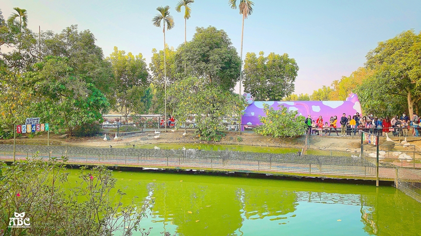 嘉義景點|綠盈牧場，網美拍照、親子生態體驗通通有！