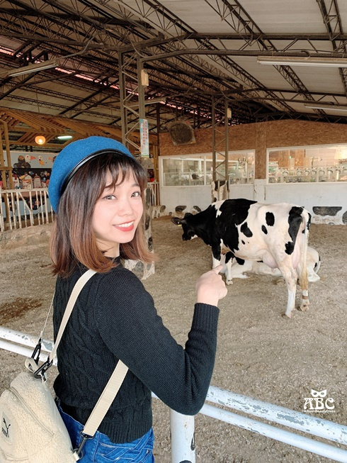 嘉義景點|綠盈牧場，網美拍照、親子生態體驗通通有！