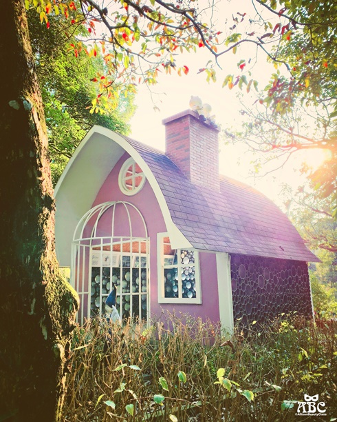 嘉義景點|綠盈牧場，網美拍照、親子生態體驗通通有！