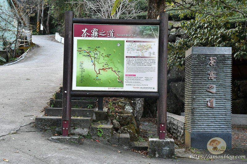 嘉義一日遊|嘉義阿里山景點懶人包,落羽松秘境、親子同樂牧場、阿里山無菜單料理就看這篇