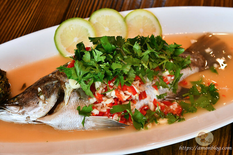 嘉義一日遊|嘉義阿里山景點懶人包,落羽松秘境、親子同樂牧場、阿里山無菜單料理就看這篇