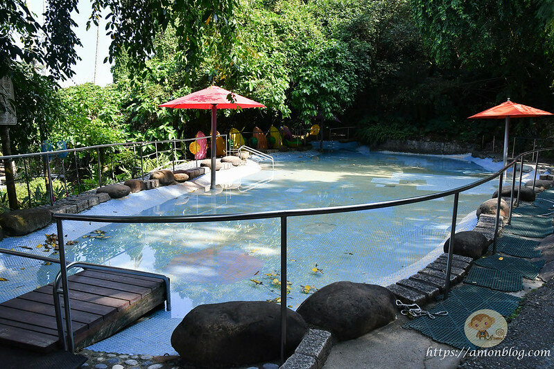 嘉義一日遊|嘉義阿里山景點懶人包,落羽松秘境、親子同樂牧場、阿里山無菜單料理就看這篇