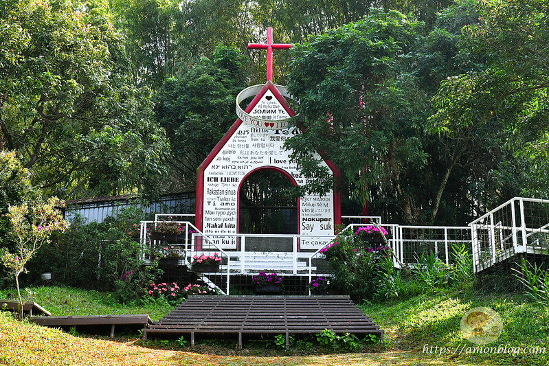 嘉義一日遊|嘉義阿里山景點懶人包,落羽松秘境、親子同樂牧場、阿里山無菜單料理就看這篇