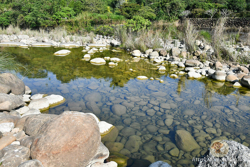 嘉義一日遊|嘉義阿里山景點懶人包,落羽松秘境、親子同樂牧場、阿里山無菜單料理就看這篇