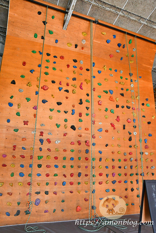 嘉義一日遊|嘉義阿里山景點懶人包,落羽松秘境、親子同樂牧場、阿里山無菜單料理就看這篇