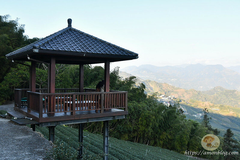 嘉義一日遊|嘉義阿里山景點懶人包,落羽松秘境、親子同樂牧場、阿里山無菜單料理就看這篇