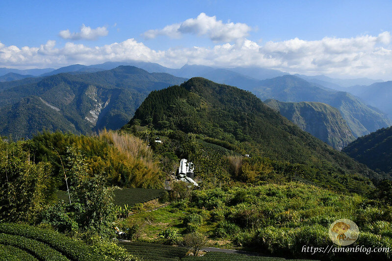 嘉義一日遊|嘉義阿里山景點懶人包,落羽松秘境、親子同樂牧場、阿里山無菜單料理就看這篇