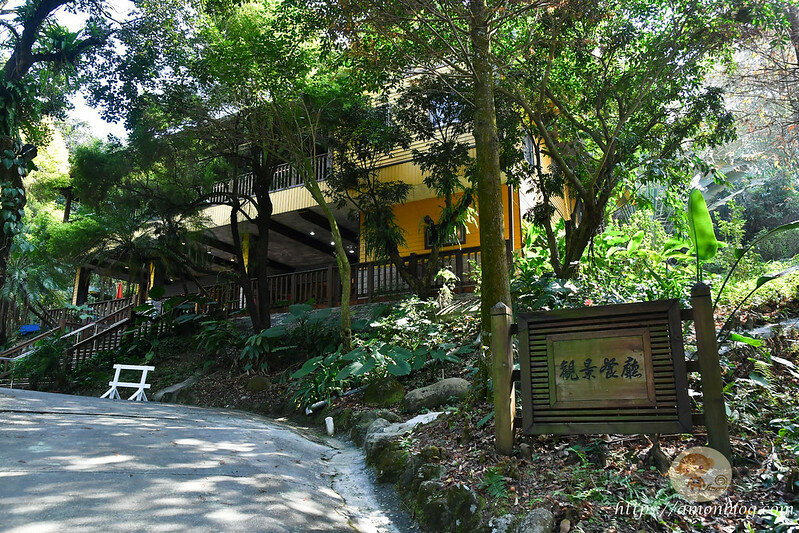 嘉義一日遊|嘉義阿里山景點懶人包,落羽松秘境、親子同樂牧場、阿里山無菜單料理就看這篇