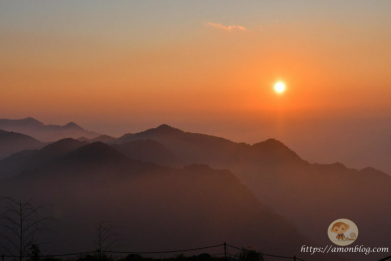 嘉義一日遊|嘉義阿里山景點懶人包,落羽松秘境、親子同樂牧場、阿里山無菜單料理就看這篇