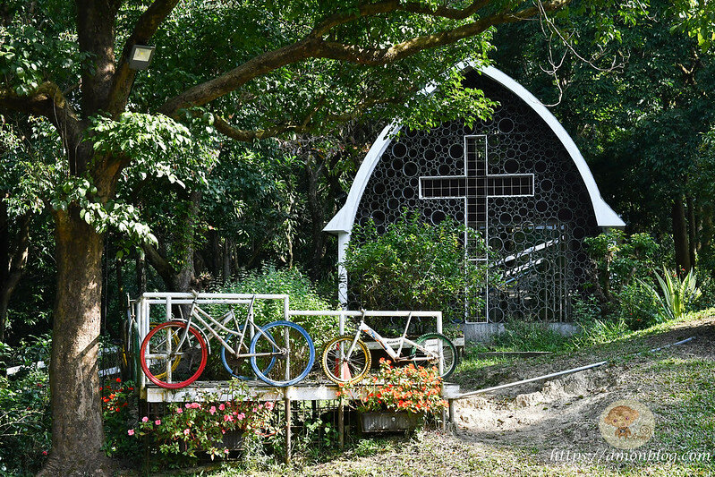 嘉義一日遊|嘉義阿里山景點懶人包,落羽松秘境、親子同樂牧場、阿里山無菜單料理就看這篇