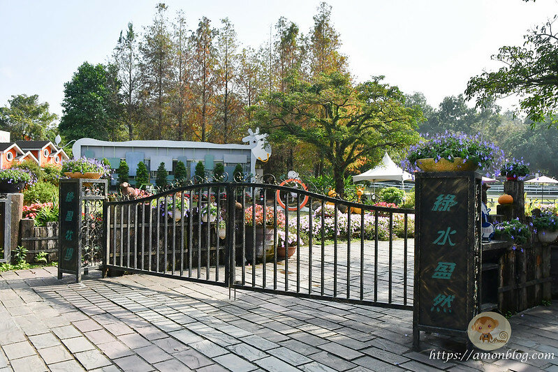 嘉義一日遊|嘉義阿里山景點懶人包,落羽松秘境、親子同樂牧場、阿里山無菜單料理就看這篇