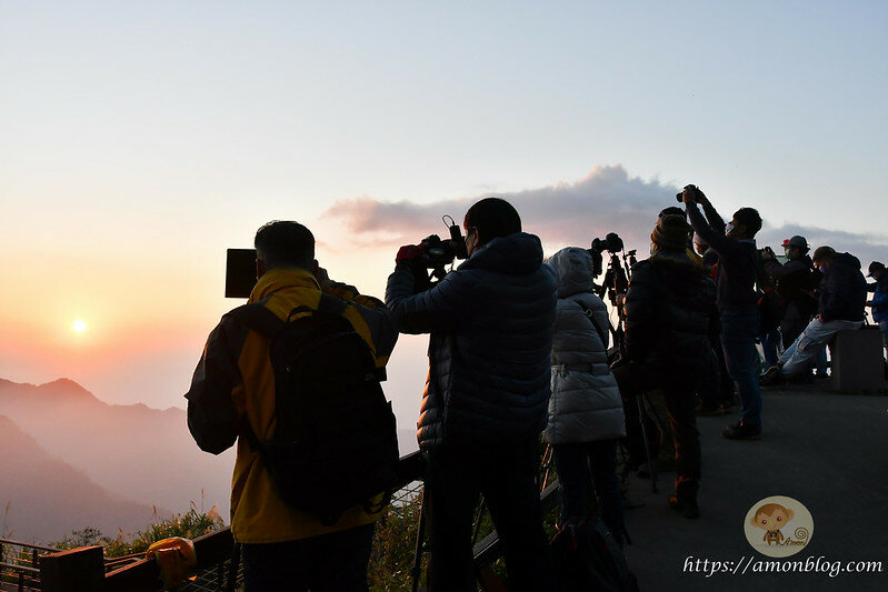 嘉義一日遊|嘉義阿里山景點懶人包,落羽松秘境、親子同樂牧場、阿里山無菜單料理就看這篇