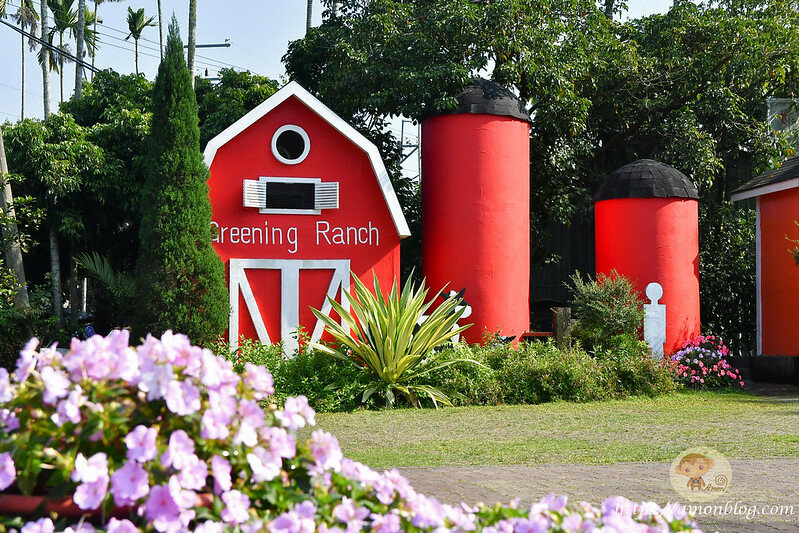 嘉義一日遊|嘉義阿里山景點懶人包,落羽松秘境、親子同樂牧場、阿里山無菜單料理就看這篇