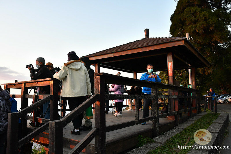 嘉義一日遊|嘉義阿里山景點懶人包,落羽松秘境、親子同樂牧場、阿里山無菜單料理就看這篇
