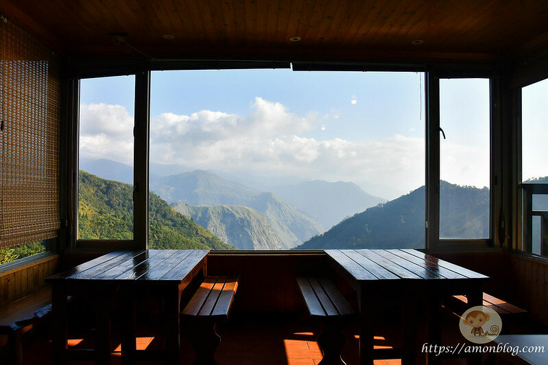 嘉義一日遊|嘉義阿里山景點懶人包,落羽松秘境、親子同樂牧場、阿里山無菜單料理就看這篇