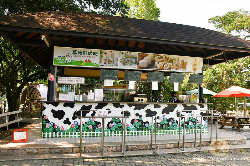 嘉義一日遊|嘉義阿里山景點懶人包,落羽松秘境、親子同樂牧場、阿里山無菜單料理就看這篇
