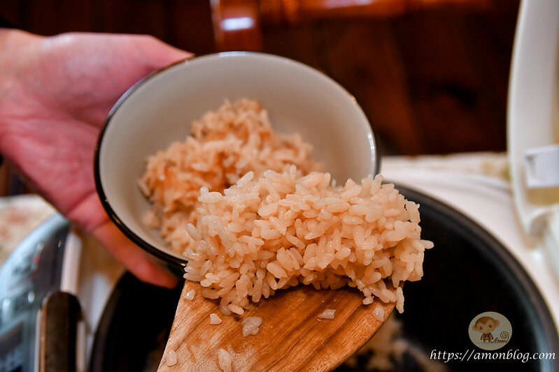 嘉義一日遊|嘉義阿里山景點懶人包,落羽松秘境、親子同樂牧場、阿里山無菜單料理就看這篇