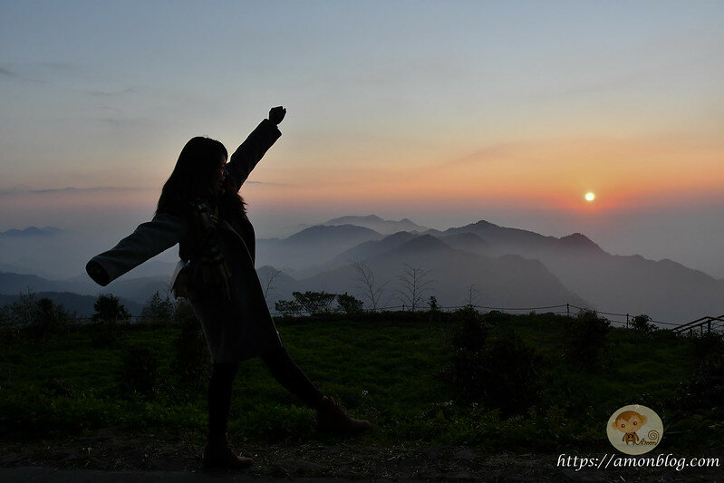 嘉義一日遊|嘉義阿里山景點懶人包,落羽松秘境、親子同樂牧場、阿里山無菜單料理就看這篇