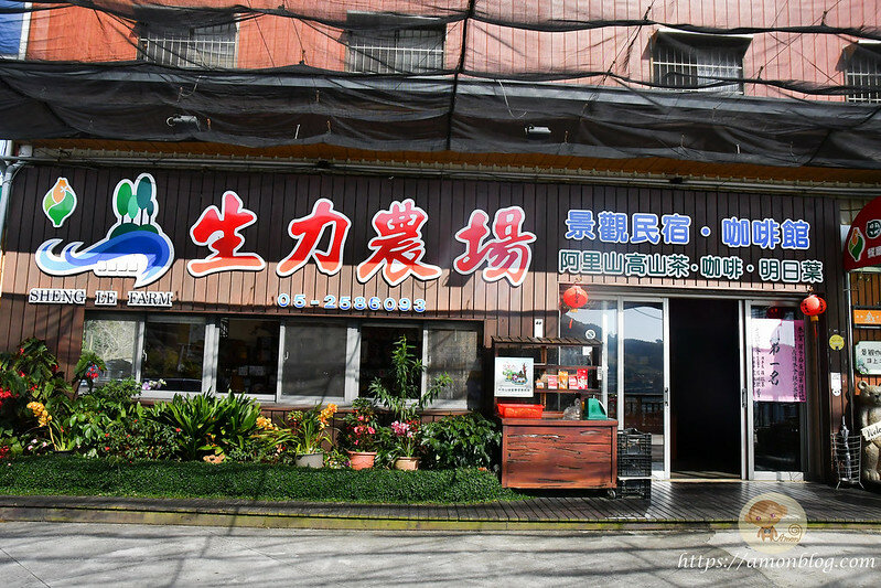 嘉義一日遊|嘉義阿里山景點懶人包,落羽松秘境、親子同樂牧場、阿里山無菜單料理就看這篇